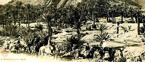 693- Figuig - Excursion au Djebel Zenaga2